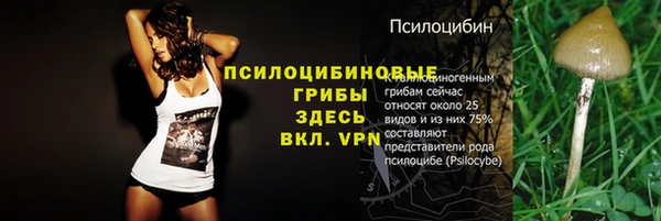 спиды Строитель