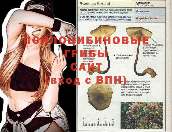 мескалин Струнино