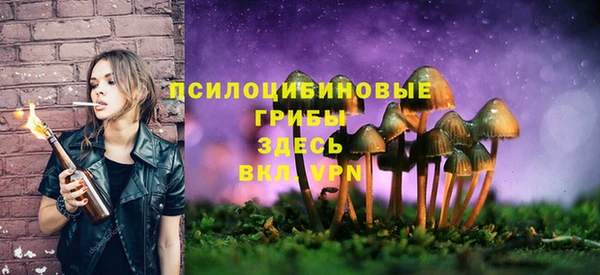 мескалин Струнино
