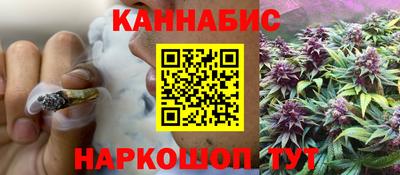 гидропоника Камышлов