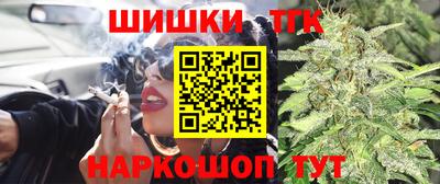 винт Канаш