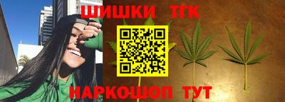 гидропоника Камышлов