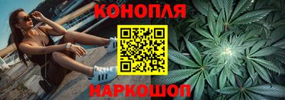 гидропоника Камышлов