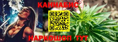 гидропоника Камышлов