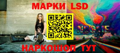 гидропоника Камышлов