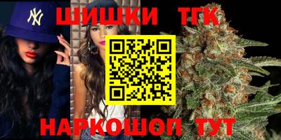 гидропоника Камышлов