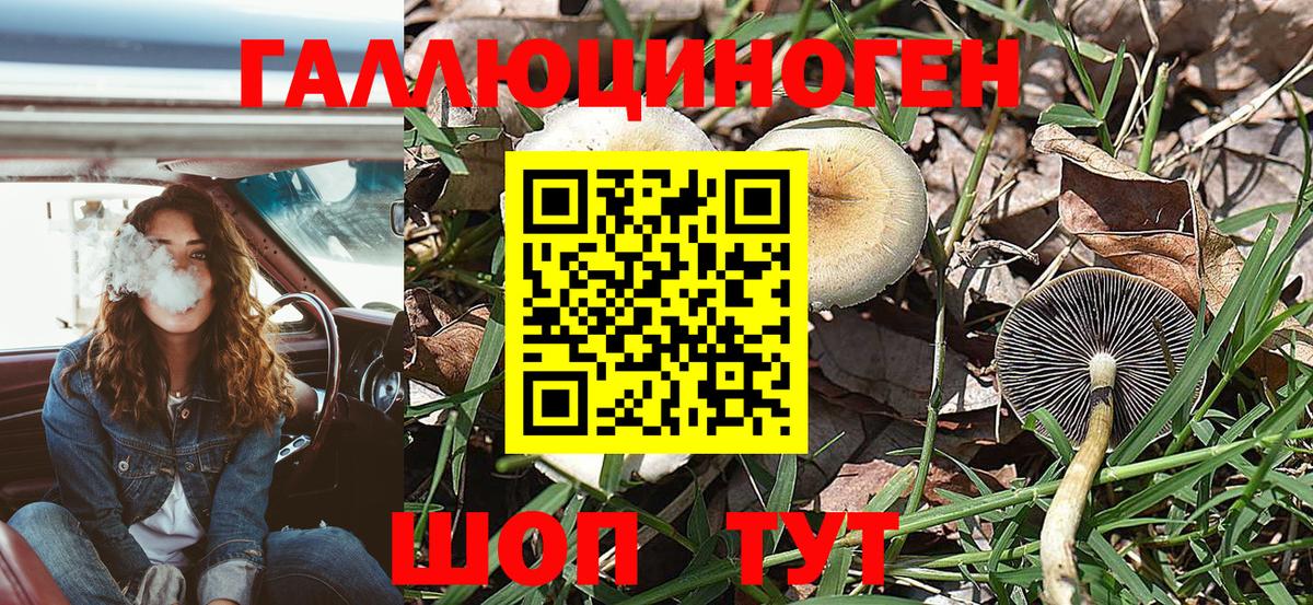 Псилоцибиновые грибы Psilocybine cubensis  Псилоцибиновые грибы Magic Shrooms  купить наркотики цена  Москва  Вход с VPN 