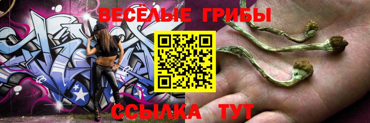 Псилоцибиновые грибы мицелий Москва